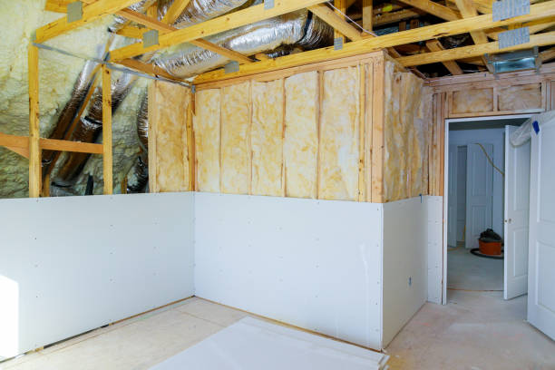 Best Insulation Maintenance and Repair in Grayvle, IL