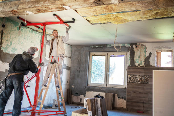 Best Insulation Maintenance and Repair in Grayvle, IL