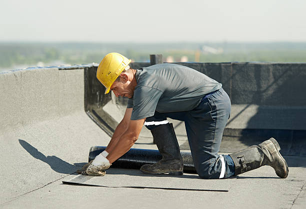 Best Insulation Installation Services in Grayvle, IL