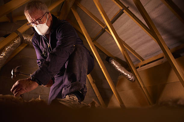 Best Residential Insulation in Grayvle, IL