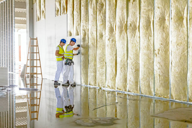 Best Energy Efficiency Solutions in Grayvle, IL